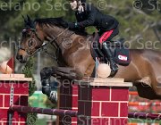 Bologni F Lovestar TosTour2013- S5 2305 : Arezzo, Arezzo Equestrian Centre, Bologni Filippo, Lovestar, Toscana Tour 2013, foto di Stefano Secchi ©